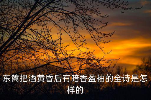 東籬把酒黃昏后有暗香盈袖的全詩是怎樣的