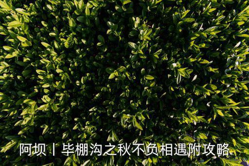 米亞羅畢棚溝，米亞羅和畢棚溝哪個風景好