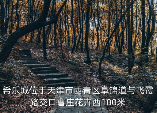 希樂城位于天津市西青區(qū)阜錦道與飛霞路交口曹莊花卉西100米
