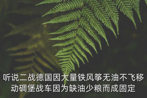聽說二戰(zhàn)德國因大量鐵風箏無油不飛移動碉堡戰(zhàn)車因為缺油少糧而成固定