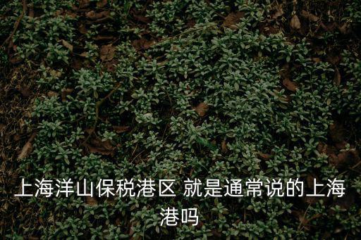 上海洋山保稅港區 就是通常說的上海港嗎