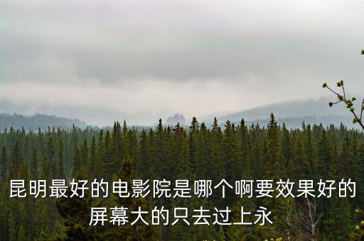 影視院，昆明最好的電影院是哪個啊要效果好的屏幕大的只去過上永
