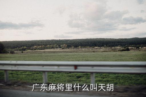 廣東麻將里什么叫天胡