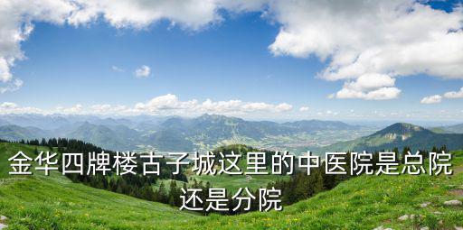 金華古子城，金華四牌樓古子城這里的中醫(yī)院是總院還是分院