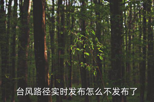 臺風路徑實時發布，臺風路徑實時發布系統那個比較準