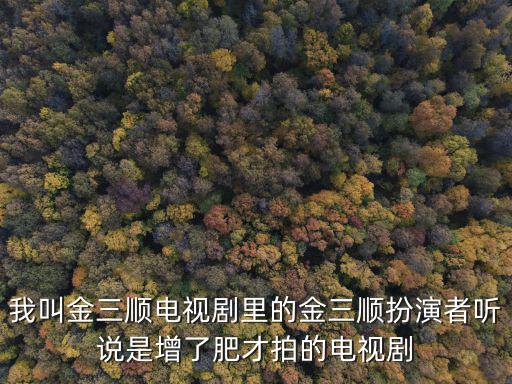 我叫金三順電視劇里的金三順扮演者聽說是增了肥才拍的電視劇