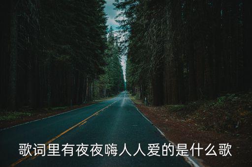 歌詞里有夜夜嗨人人愛的是什么歌