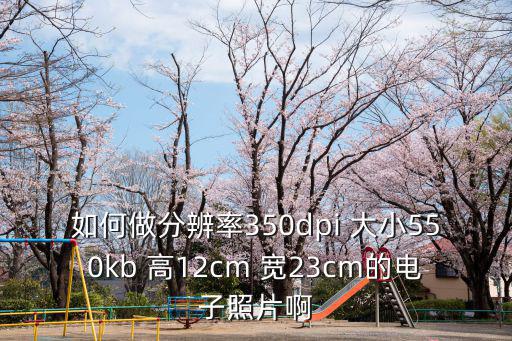 如何做分辨率350dpi 大小550kb 高12cm 寬23cm的電子照片啊