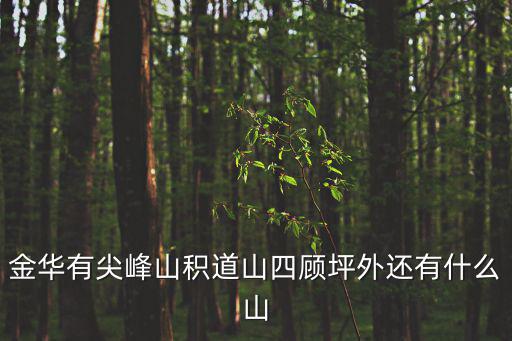 金華有尖峰山積道山四顧坪外還有什么山