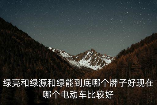 綠亮和綠源和綠能到底哪個牌子好現在哪個電動車比較好