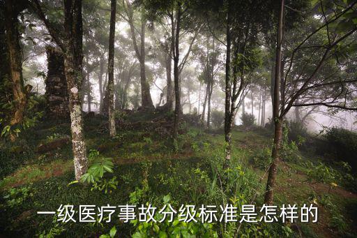 一級甲等醫(yī)療事故，2020年醫(yī)療事故分級標準