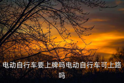 電動自行車需要上牌嗎，電動車需要牌照嗎