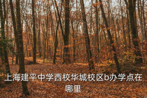 上海建平中學(xué)西校華城校區(qū)b辦學(xué)點(diǎn)在哪里