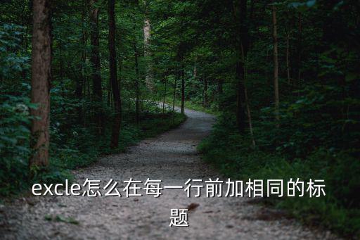 行前，excle怎么在每一行前加相同的標題