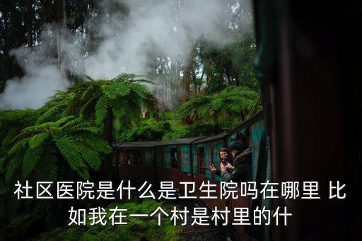 社區(qū)衛(wèi)生院，社區(qū)醫(yī)院是什么是衛(wèi)生院嗎在哪里 比如我在一個村是村里的什
