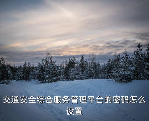 交通安全綜合服務，交通安全綜合服務管理平臺 預約科目二怎么繳費