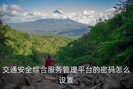 交通安全綜合服務管理平臺的密碼怎么設置