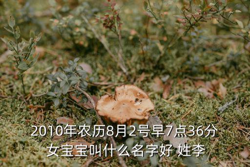 2010年農歷8月2號早7點36分 女寶寶叫什么名字好 姓李