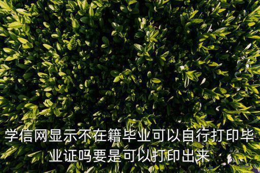 學信網顯示不在籍畢業可以自行打印畢業證嗎要是可以打印出來