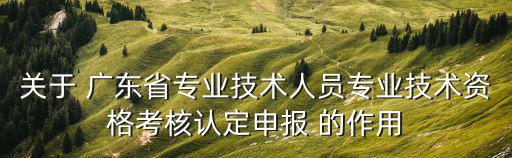 關(guān)于 廣東省專(zhuān)業(yè)技術(shù)人員專(zhuān)業(yè)技術(shù)資格考核認(rèn)定申報(bào) 的作用
