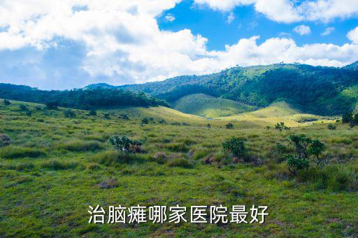 治腦癱哪家醫(yī)院最好