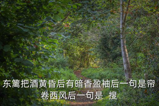 東籬把酒黃昏后有暗香盈袖后一句是簾卷西風后一句是  搜