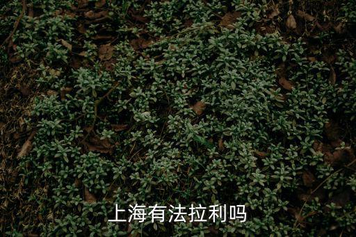 上海有法拉利嗎
