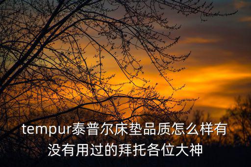 tempur泰普爾床墊品質(zhì)怎么樣有沒有用過的拜托各位大神