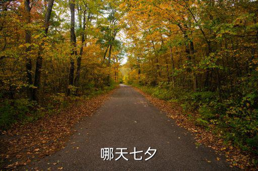 哪天七夕