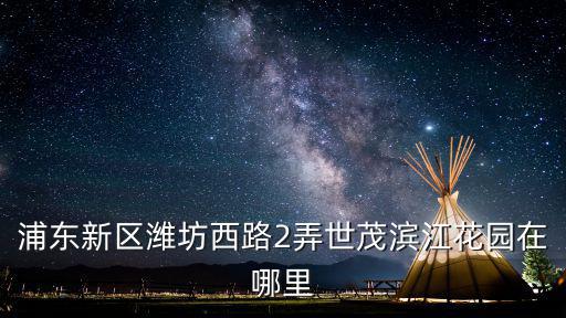 浦東新區(qū)濰坊西路2弄世茂濱江花園在哪里