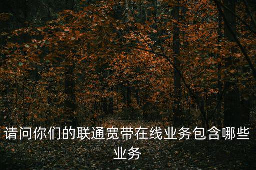 聯(lián)通寬帶業(yè)務(wù)，聯(lián)通寬帶業(yè)務(wù)有幾種