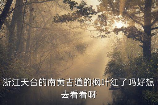 浙江天臺的南黃古道的楓葉紅了嗎好想去看看呀
