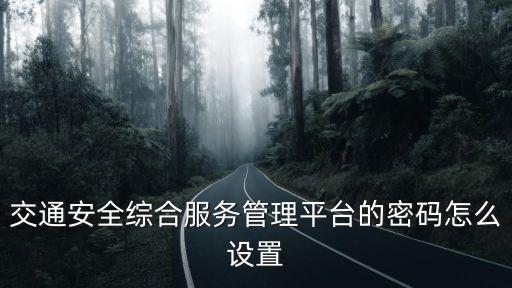 交通安全綜合服務(wù)管理平臺的密碼怎么設(shè)置