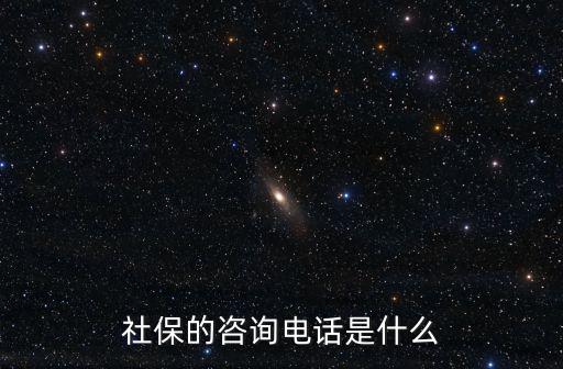 社?？ú樵冸娫?，社保電話多少啊