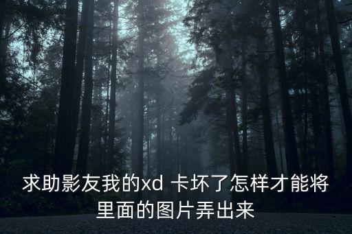 求助影友我的xd 卡壞了怎樣才能將里面的圖片弄出來