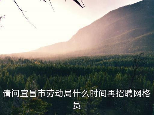 請問宜昌市勞動局什么時間再招聘網格員