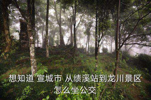 績(jī)溪龍川，績(jī)溪龍川有什么好玩的