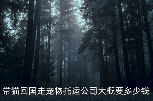 帶貓回國走寵物托運公司大概要多少錢