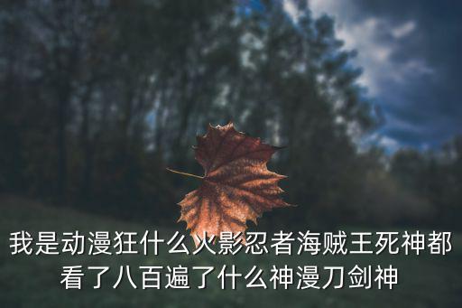 我是動漫狂什么火影忍者海賊王死神都看了八百遍了什么神漫刀劍神