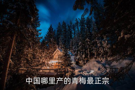 詔安青梅，中國哪里產的青梅最正宗