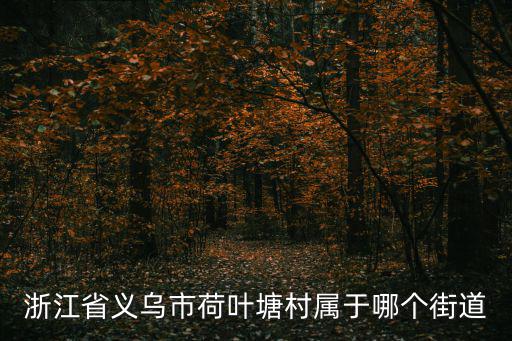 義烏荷葉塘，義烏荷葉塘一般賣什么東西