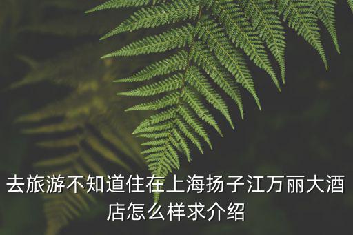 揚子江萬麗大酒店，去旅游不知道住在上海揚子江萬麗大酒店怎么樣求介紹