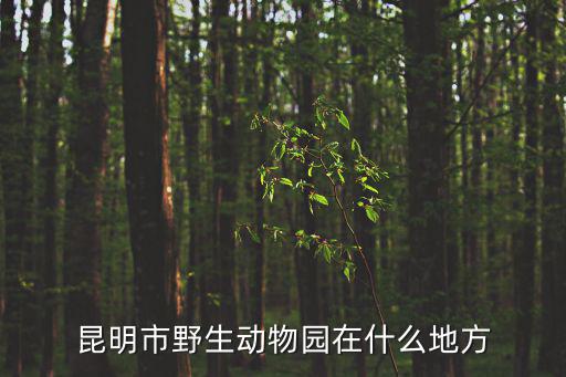 昆明市野生動(dòng)物園在什么地方