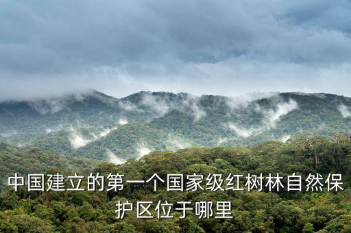 紅樹林自然保護區，深圳那些地方好玩