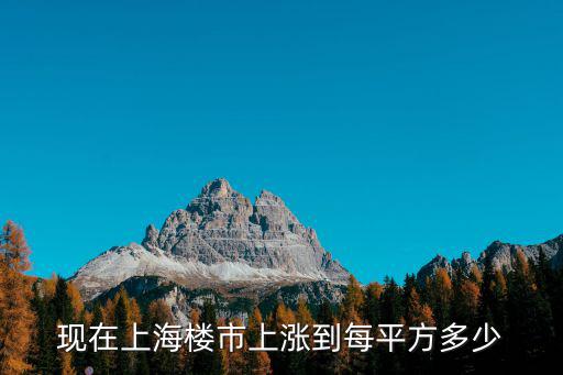 中冶尚城，中冶尚城業主名單多少錢1份