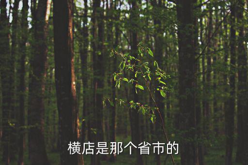 橫店是那個省市的