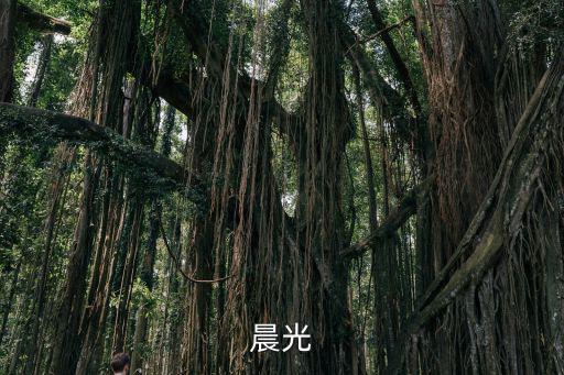 晨光官網，晨光