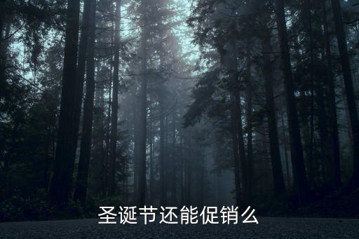 圣誕節促銷，圣誕節還能促銷么