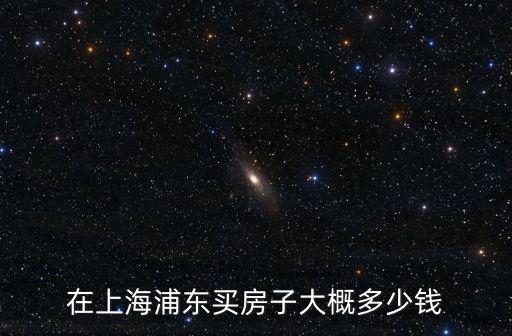 上海浦東房產，在上海浦東買房子大概多少錢