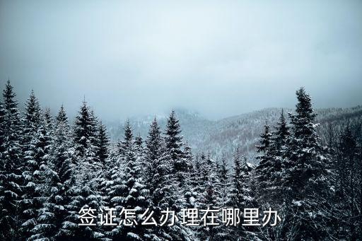 簽證在哪里辦，簽證在哪里辦